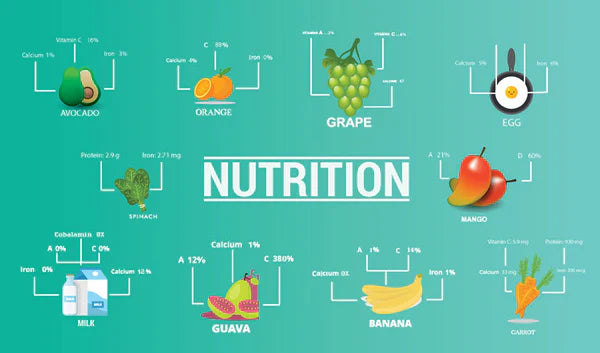 Basics Of Nutrition